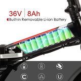 ANCHEER 20 Inch Electric Bicycle Ebike with 250W Motor